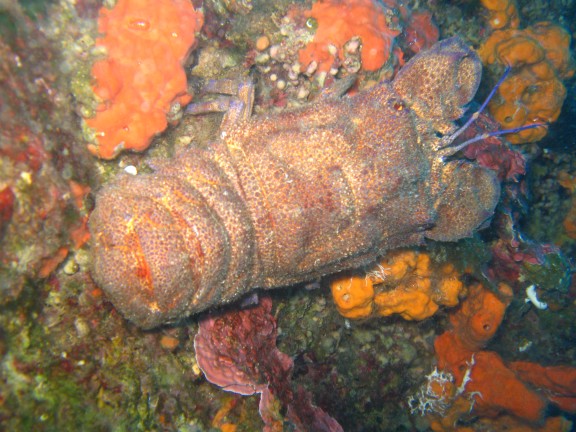 Greece