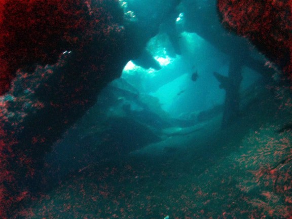 Kubu, Indonesia