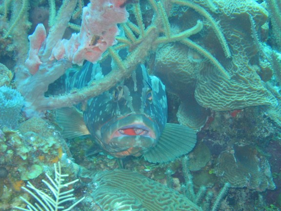 Hurghada, Egitto