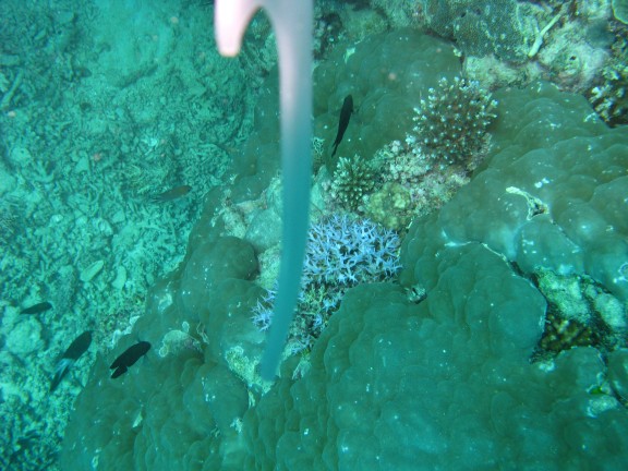 Queensland, Australia