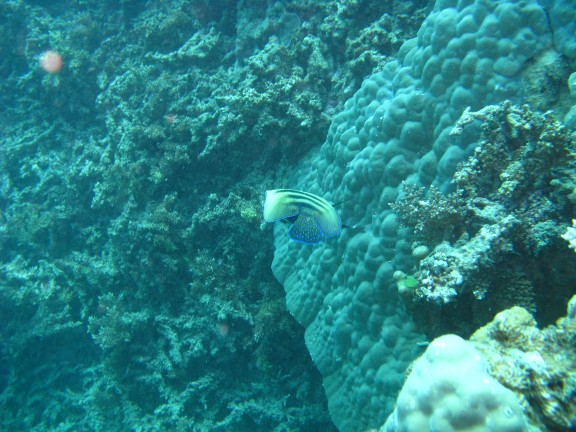 Queensland, Australia