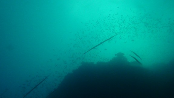 Red Sea