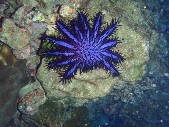 Islas Similan.Tailandia.