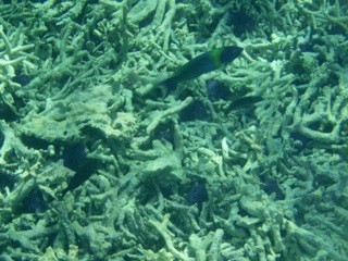 Grand Baie, Maurice