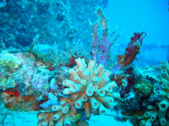 Pompano Beach, Florida