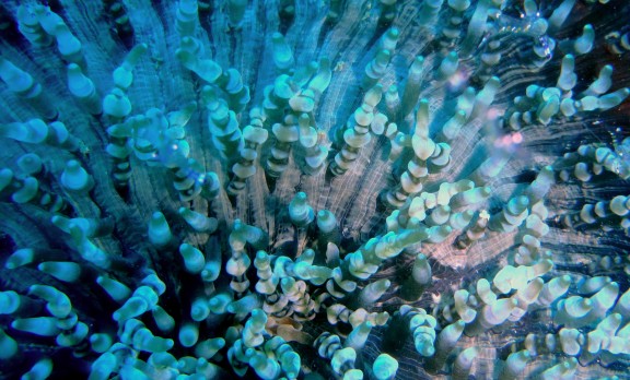 port blair andamans