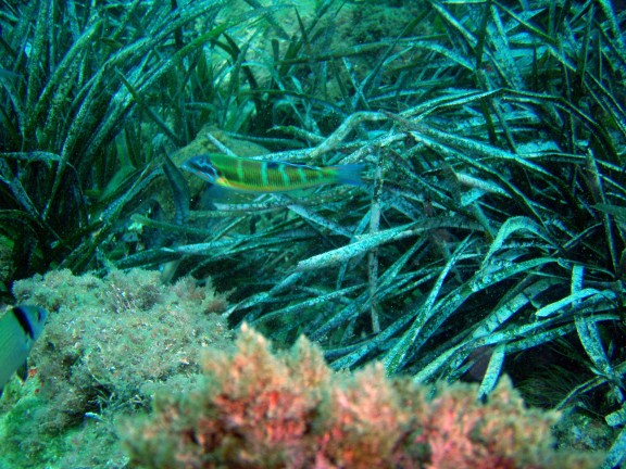 Almería, Spain