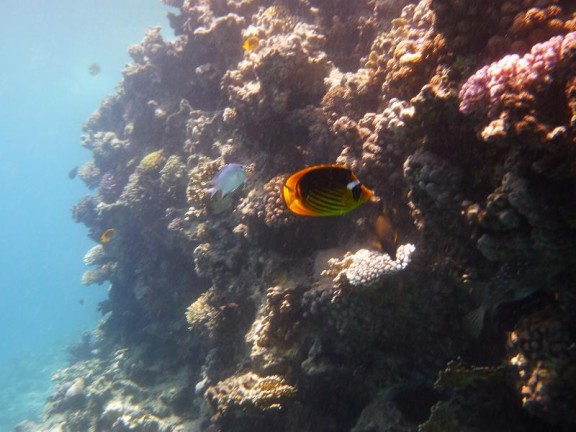 Dahab, Egypt