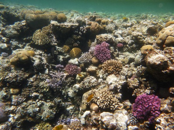 Dahab, Egypt