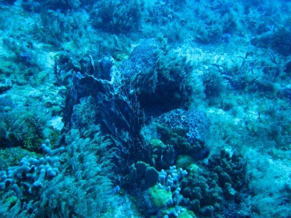 Quintana Roo, Mexico