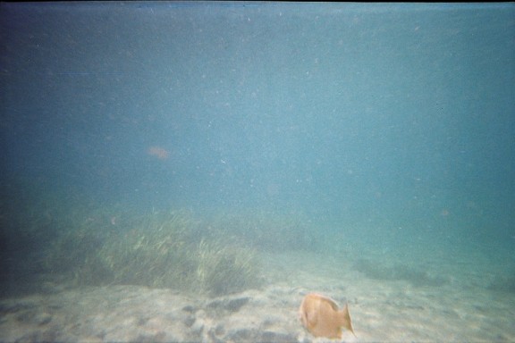 Florida, Rainbow River