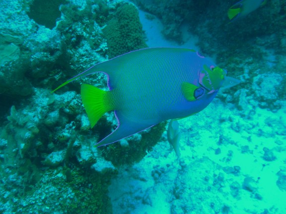Cozumel, Mexico