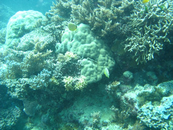 Queensland, Australia