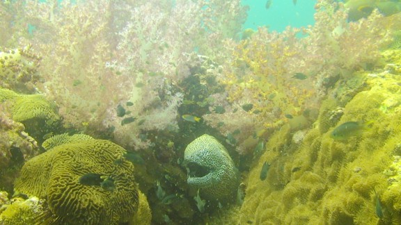 The Gulf of Oman