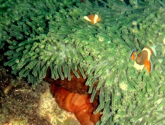 Andaman, India