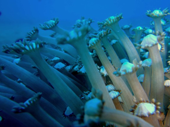 Andaman, India