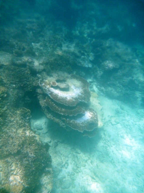 Shefa Province, Vanuatu