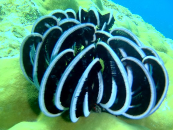 port blair andamans