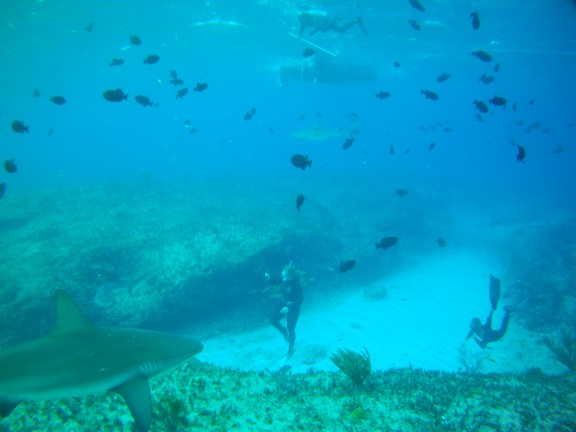 Alice Town, The Bahamas