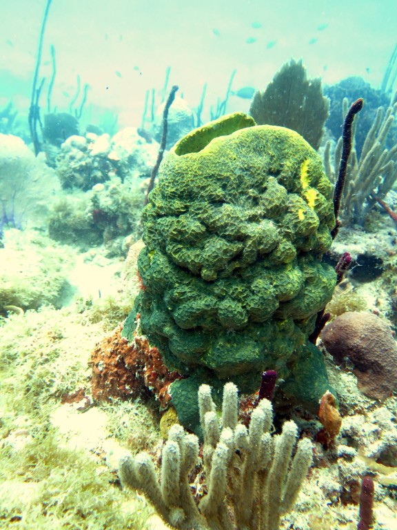 Bayahibe, Dominikanische Republik