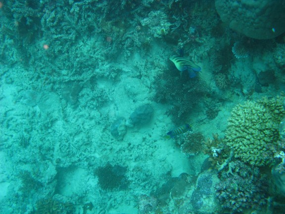 Queensland, Australia