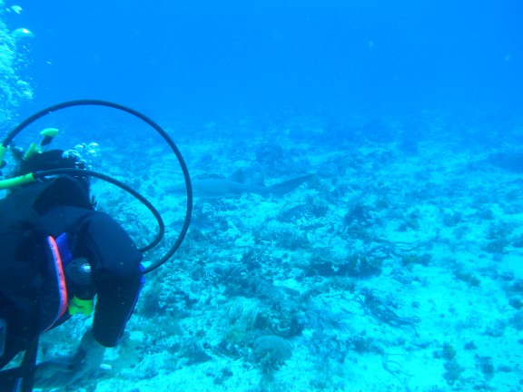 Quintana Roo, Mexico