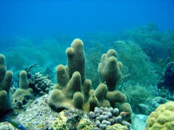Basse-Terre, Guadeloupe