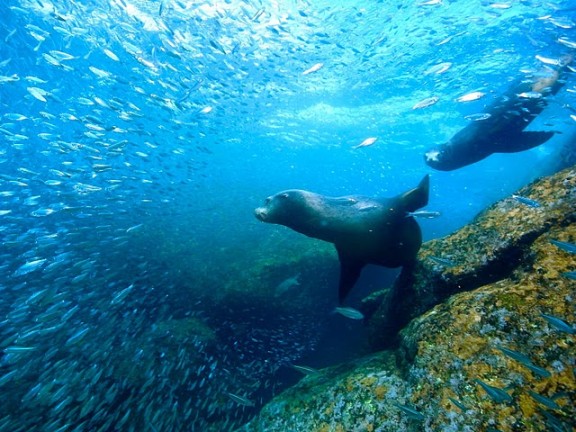 Baja California Sur, México