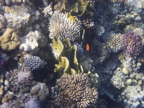 Dahab, Egypt