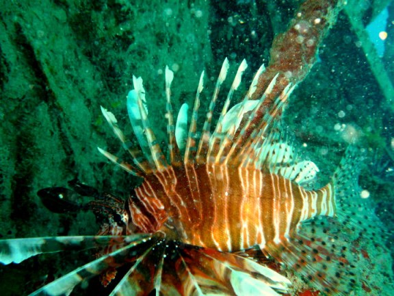 Malaysia