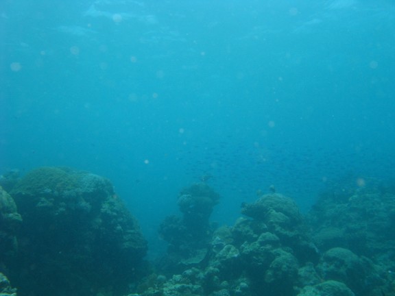 Queensland, Australia