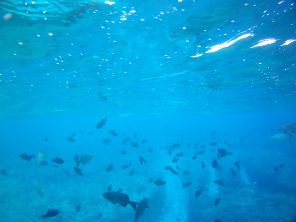 Alice Town, The Bahamas