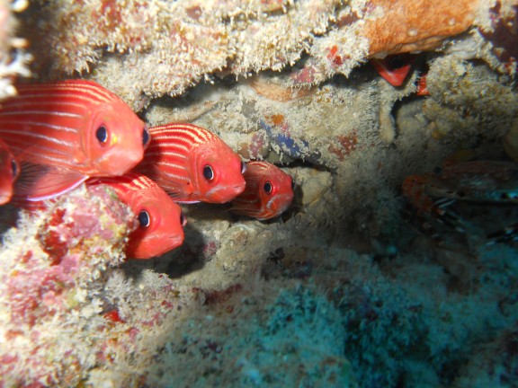 Honolulu, United States