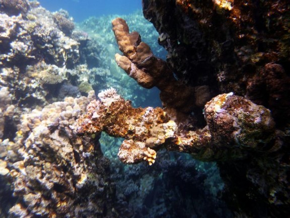 Dahab, Egypt