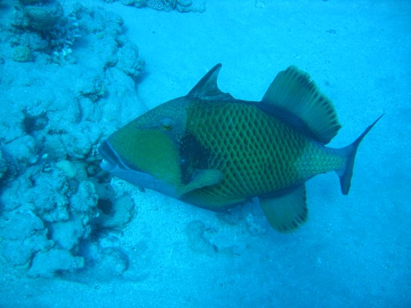 Hurghada, Egitto