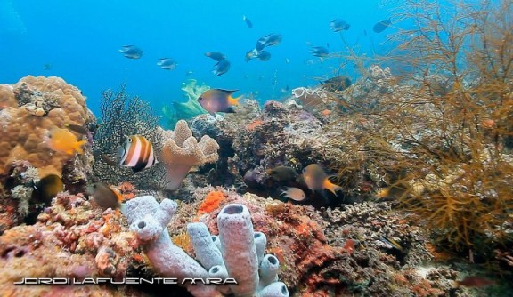 Indonesia