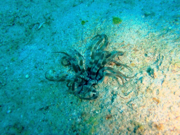 Andaman, India