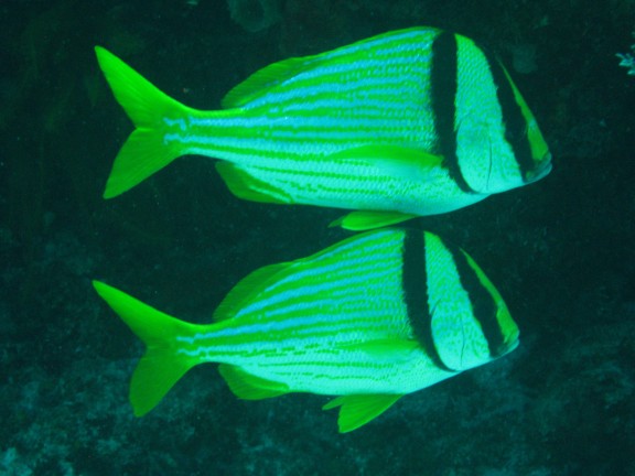 Cancun, Mexico