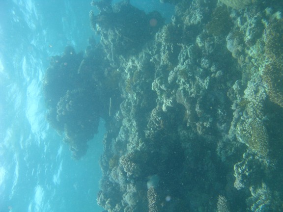 Queensland, Australia