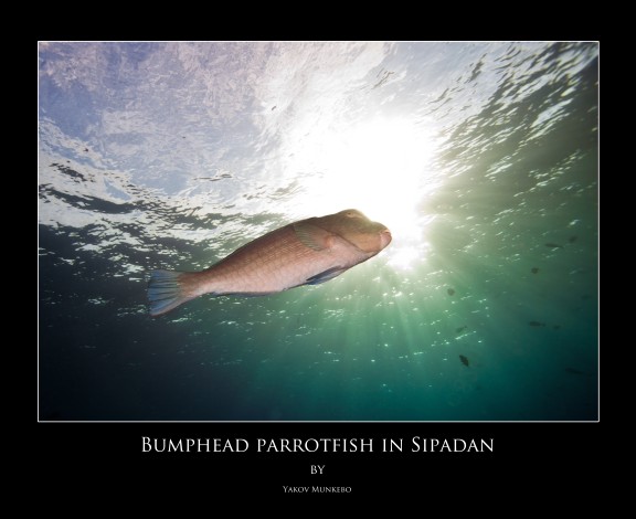 Sipadan