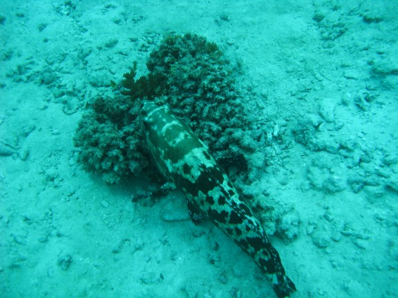 Queensland, Australia