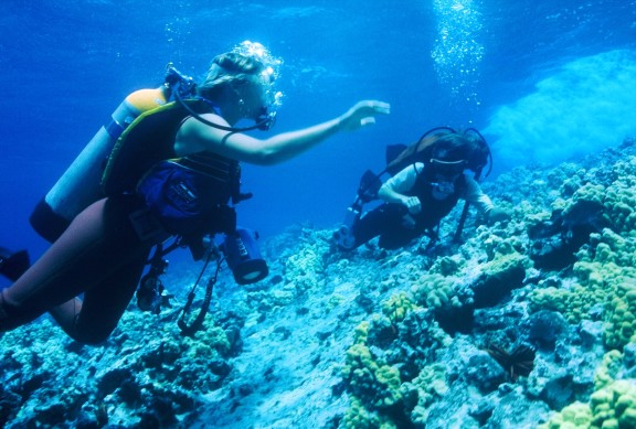Molokini Hawaii