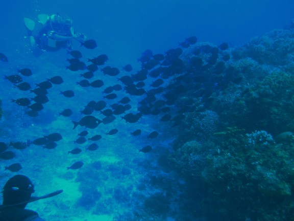 Cozumel, Mexico