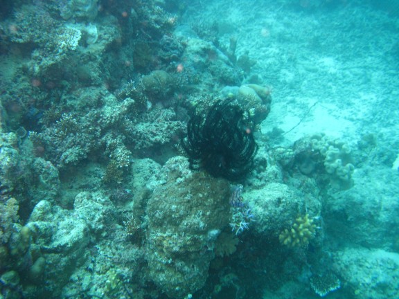 Queensland, Australia