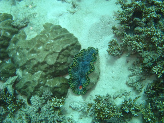 Queensland, Australia
