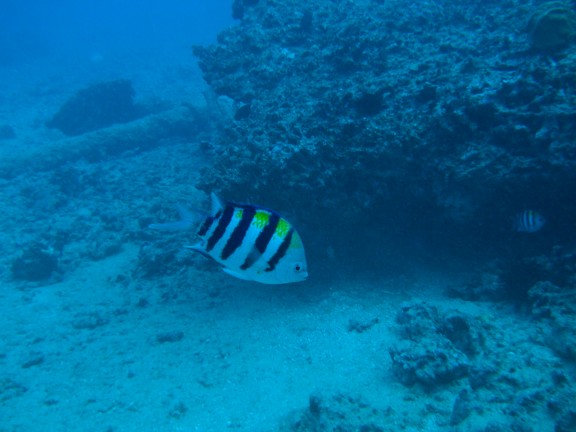 Honolulu, United States