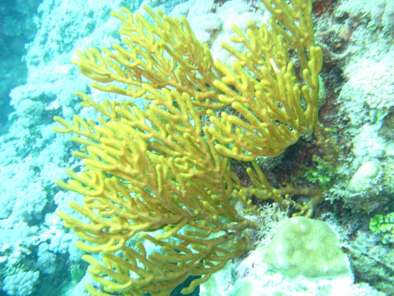 Queensland, Australia