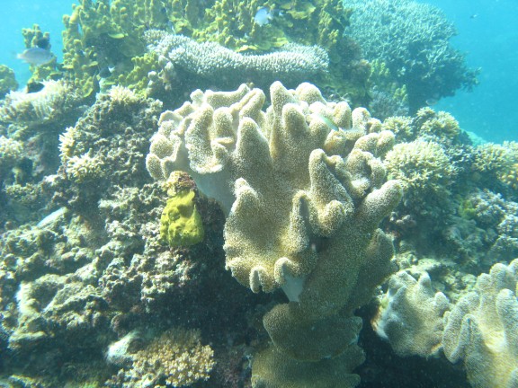 Queensland, Australia