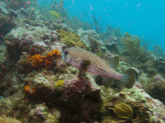 Key Largo