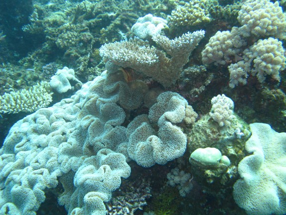 Queensland, Australia